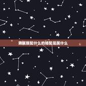 男属猴配什么的婚配是属什么，92年男猴配什么属相好
