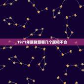 1971年属猪跟哪几个属相不合，1971年属猪与什么属相相合