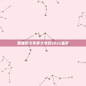 属猪的今年多大年龄2022虚岁，2022年40岁是哪一年出生
