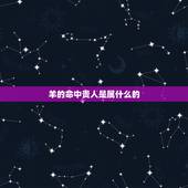 羊的命中贵人是属什么的，属羊和属什么八字才合适？