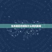 生肖属蛇的婚配什么样的属相，89属蛇的和什么属相最配，蛇猴配不配呢？