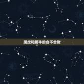 属虎和属牛的合不合财，属马跟属牛的合不合