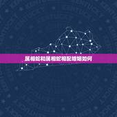 属相蛇和属相蛇相配婚姻如何，蛇与蛇婚配好吗
