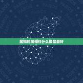 属狗的属相住什么楼层最好，属狗适合住几楼