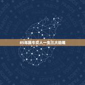 85年属牛女人一生三大劫难 1985属牛人终身的三大坎