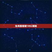 生肖猴婚姻1992婚配，1992年属猴的最佳配偶