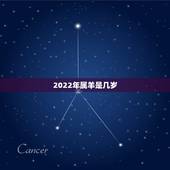 2022年属羊是几岁，79属羊未来20年大运