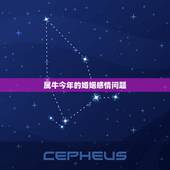 属牛今年的婚姻感情问题，男1985属牛今年感情好吗？