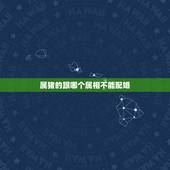 属猪的跟哪个属相不能配婚，属猪女不能配什么属相
