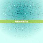 免费的婚姻介绍 ，中国更大的跨国婚恋