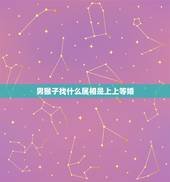 男猴子找什么属相是上上等婚，十二生肖相生又相克，属鼠的和什么属相最配？