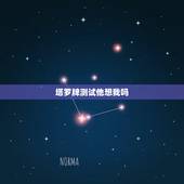 塔罗牌测试他想我吗，塔罗神准占卜：我爱ta 但是ta心里有我吗