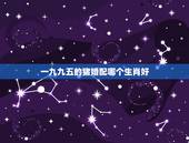 一九九五的猪婚配哪个生肖好，-九九五年生肖猪女性婚配