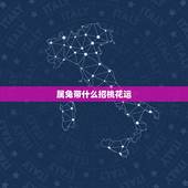 属兔带什么招桃花运，属兔穿什么衣服旺桃花