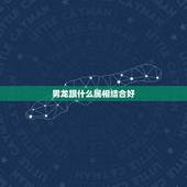 男龙跟什么属相结合好，我和男友都属龙，2017年结婚伴娘伴郎不能找什么