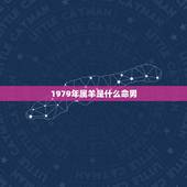 1979年属羊是什么命男，1979年属羊41岁有一灾