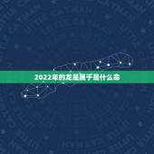2022年的龙是属于是什么命，2024年龙宝宝什么命