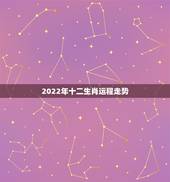 2022年十二生肖运程走势，2022 年十二生肖运势排名之一名