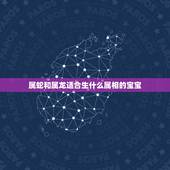 属蛇和属龙适合生什么属相的宝宝，属蛇 和属龙的要什么属相的孩子好