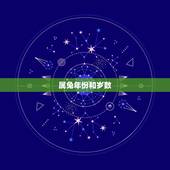属兔年份和岁数，属兔的是哪年出生