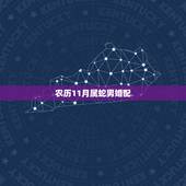 农历11月属蛇男婚配，男属蛇十二月出生和什么属相可以婚配