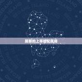 属猴的上等婚配属相，属猴男爱上属狗女