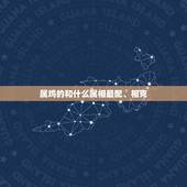 属鸡的和什么属相最配、相克，属鸡与什么属相相克，相配
