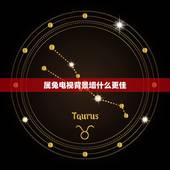 属兔电视背景墙什么更佳，属兔的人卧室适合挂九鱼图
