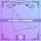 比82年属狗大10岁的属相是啥，比82年属狗大八岁的属相什么？