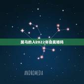 属马的人2022年会离婚吗，2022有姻缘出现的生肖