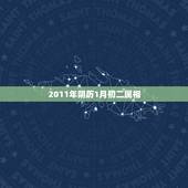 2011年阴历1月初二属相，2011年1月5日属于什么生肖