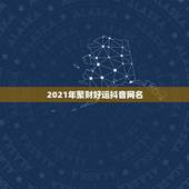 2021年聚财好运抖音网名，2021抖音最旺最好的名字