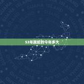 53年属蛇的今年多大，55年属什么生肖今年多少岁