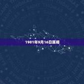 1981年9月16日属相，1981年属鸡阴历九月十六凌晨叁点五十生五行