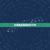 夫妻都是属狗的好不好，属狗和属猪的适合做夫妻吗