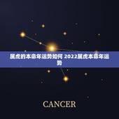 属虎的本命年运势如何 2022属虎本命年运势