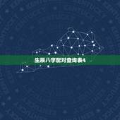 生辰八字配对查询表4，生辰八字查询