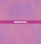 易经属虎的命运，属虎的人是什么命运？