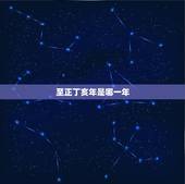 至正丁亥年是哪一年，丁亥是什么动物