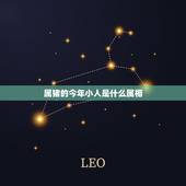 属猪的今年小人是什么属相，属猪是什么命