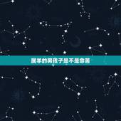 属羊的男孩子是不是命苦，属羊的男人命硬吗