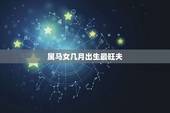 属马女几月出生最旺夫，属马1978年44走大运