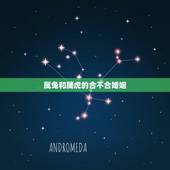 属兔和属虎的合不合婚姻，属虎和属兔结婚好不好
