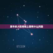 属牛的人在婚姻上面有什么问题，属牛人的婚姻