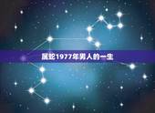 属蛇1977年男人的一生，1977年男蛇是什么性格
