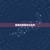 属猴的都哪年出生的，17岁属猴的是哪一年出生的