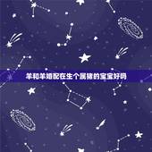 羊和羊婚配在生个属猪的宝宝好吗，属猪的跟属羊的相配吗