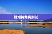 婚姻树免费测试，易奇八字婚姻树那个树干测试的未来对象准吗