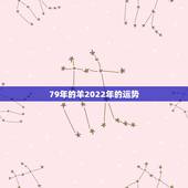 79年的羊2022年的运势，79羊女2022年运势完整版