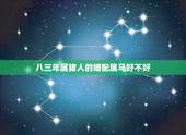 八三年属猪人的婚配属马好不好，1990年女属马和1983年男属猪相配吗
